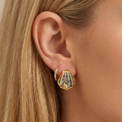 Shell Stud Earrings