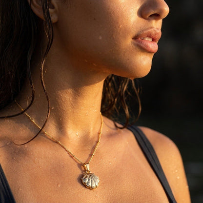Seashell Pendant Necklace