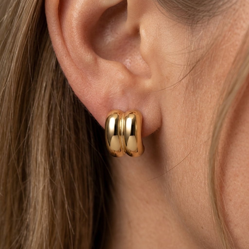 Double Stud Earrings