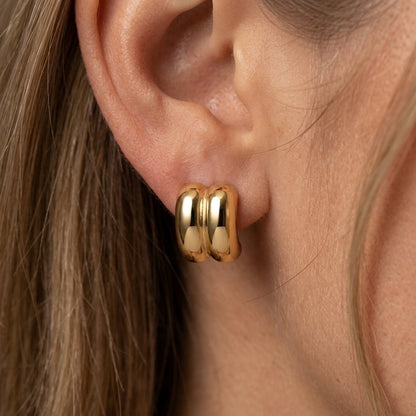 Double Stud Earrings