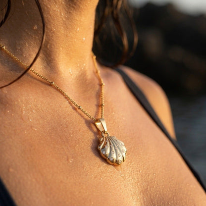 Seashell Pendant Necklace