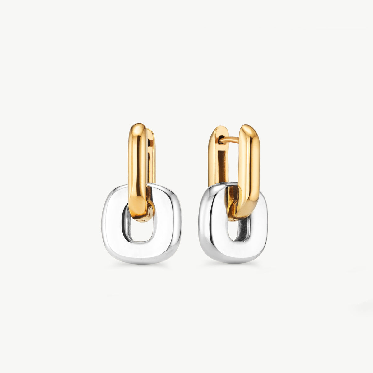 Mixed Metal Earrings