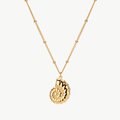 Nautilus Necklace