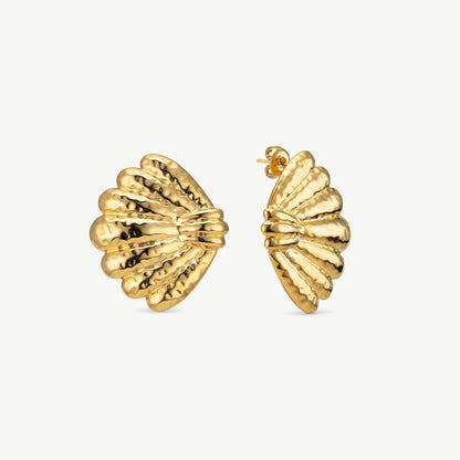 Seashell Earrings