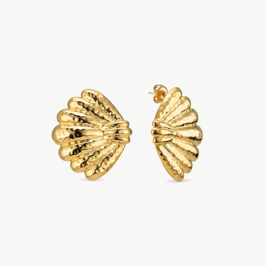 Seashell Earrings