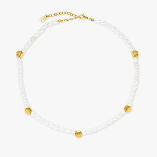 Shell And Pearl Necklace