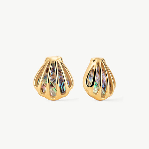 Shell Stud Earrings
