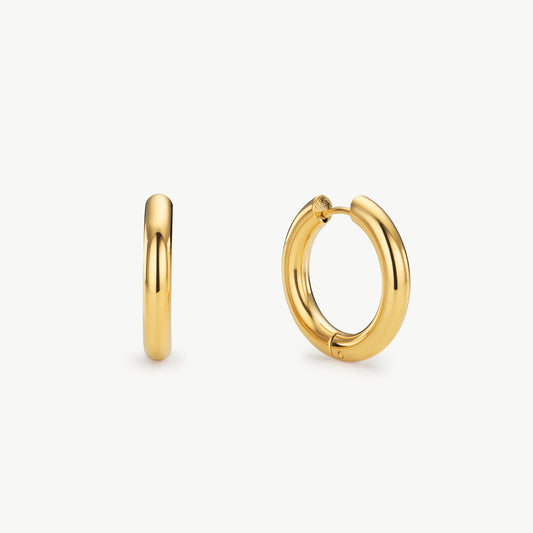 Medium Gold Hoop Earrings