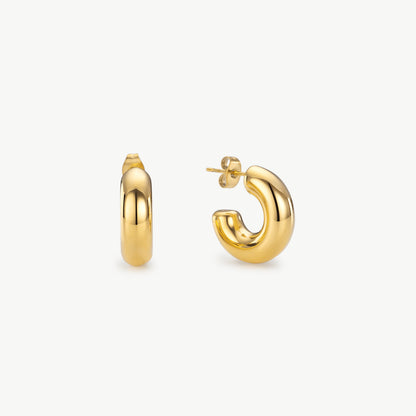 Small Gold Hoops