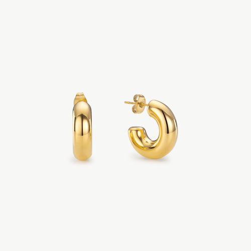 Small Gold Hoops